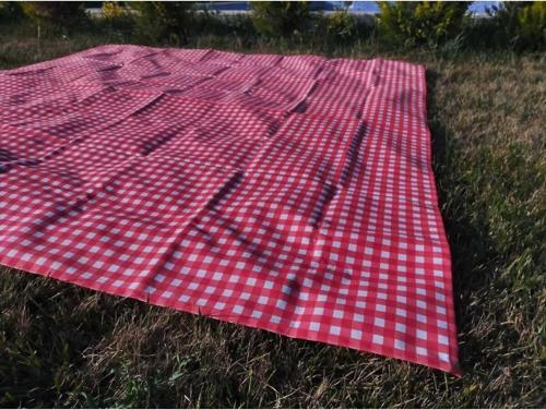 Kırmızı Pötikare Dertsiz Örtü Tekli -Sıvı Itici Özelliğe Sahip- 170*170 Piknik Seti Için