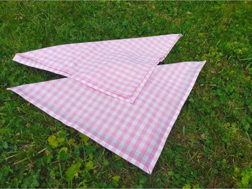 Pembe Pötikare Servis Peçetesi Tekli - Piknik Seti Için