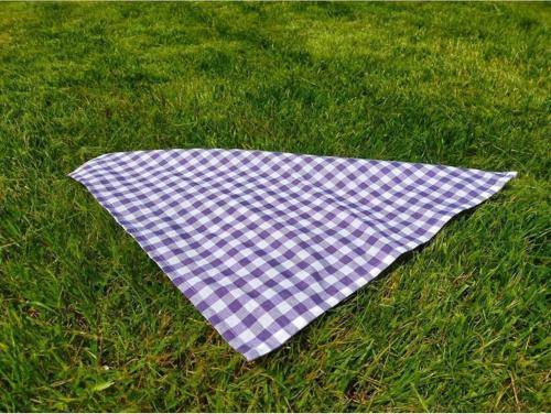 Mor Pötikare Servis Peçetesi Tekli - Piknik Seti Için