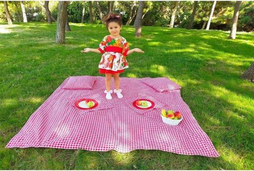 Kırmızı Pötikare Piknik Seti 5 Parça