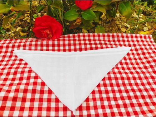 Süt, Peynir Ve Yoğurt Süzme Bezi ( Torba )- Doğal Tülbent Bezinden  20*20 Cm