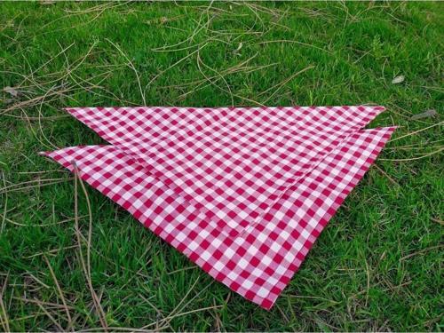Kırmızı Pötikare Servis Peçetesi Tekli - Piknik Seti Için