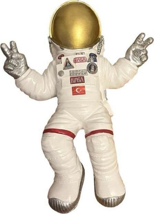 Polyester Astronot
