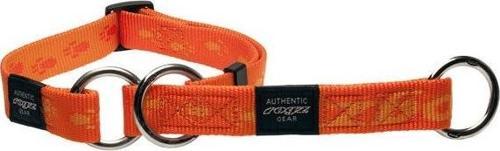 Alpinist Slipband L Oranje Boyun Tasması