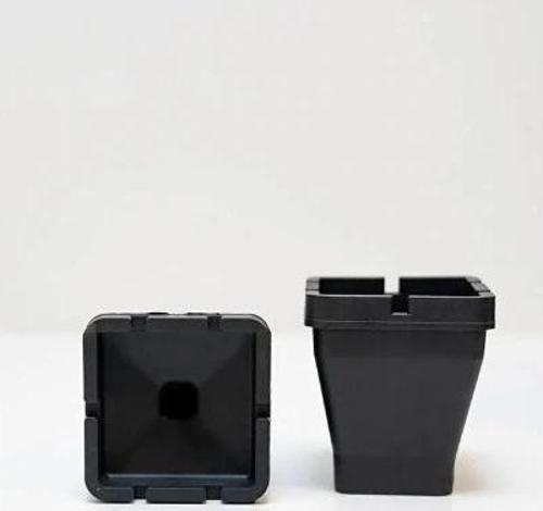 Kokusuz Kare Küllük