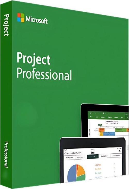 Project Professional 2024 Key