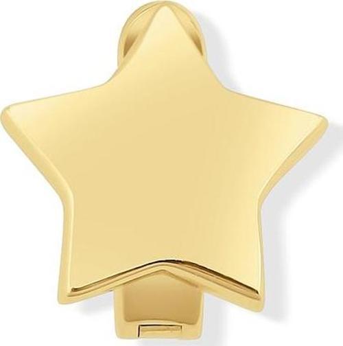 14 Ayar Altın Yıldızlı Ajda Charm Tepe Kilitli