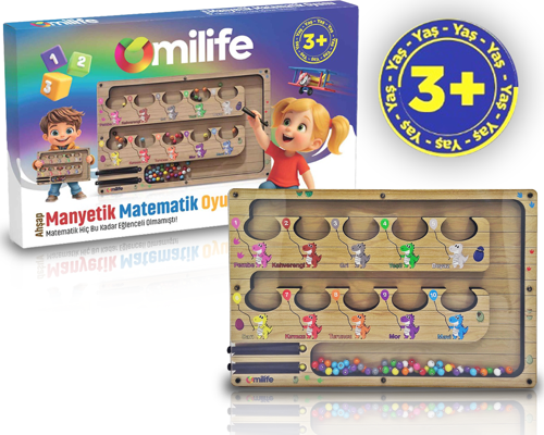 Manyetik Renkli Sayma ve Eşleştirme Labirenti - Ahşap Montessori Oyuncağı, 3-5 Yaş Çocuklar için Eğitici, Eğlenceli ve Taşınabilir Manyetik Boncuk Oyun Seti