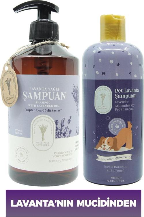Pire Önleyici Köpek Şampuanı 400 Ml Pet Şampuan + Tuzsuz Lavanta Yağlı Yetişkin Şampuan