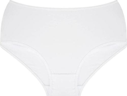 Giyim Kadın Büyük Beden Külot Beyaz 40264