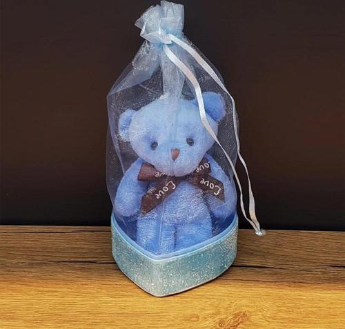 Doğum Hediyesi Kese İçinde Ayıcık