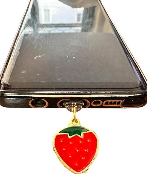 Type C Telefon Şarj Koruma Aksesuarı / Tozluk / Toz Tıpası / Charm