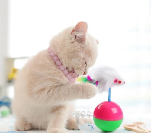 Hacı Yatmaz Kedi Oyuncağı, Tüylü Fareli Kedi Topu