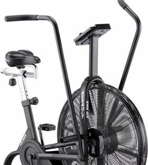 Assault Profesyonel Air Bike