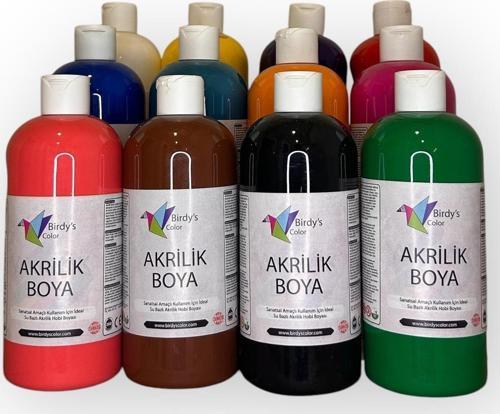 Birdy's Color Akrilik Boya 12'li Set 12X500GR - Ana Renkler