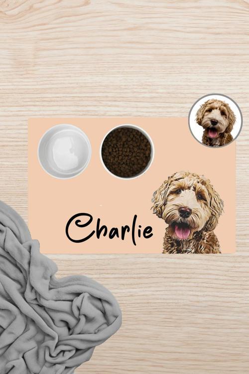 Hayvana isme Özel Fotoğraflı Beslenme Matı Sıvı Geçirmez Kedi Köpek Mama Paspası 50x70cm