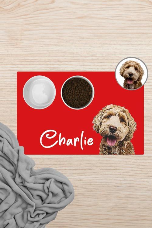 Hayvana isme Özel Fotoğraflı Beslenme Matı Sıvı Geçirmez Kedi Köpek Mama Paspası 50x70cm