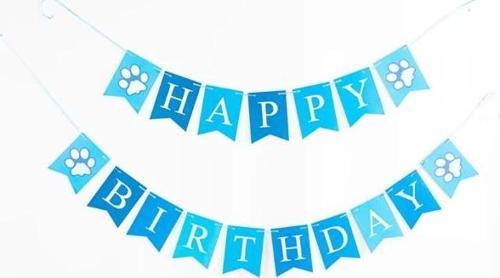 Büro Ev Ofis Evcil Hayvanı Köpek için Doğum Günü Partisi Seti