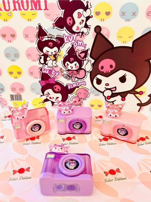 Fotoğraf Makinesi Görünüm Kalemtıraş Çöpü İçinde Kalır (1 Adet)