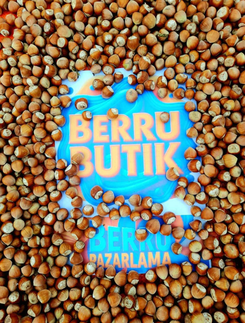 Organik Fındık - Doğal Fındık - Kabuklu Giresun Fındığı