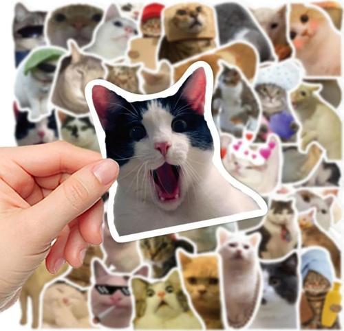 Çılgın Kediler Macbook Notebook Tablet Telefon Ajanda Laptop Defter Sticker Seti