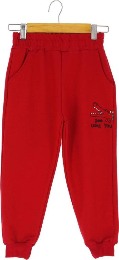 DİNOZOR SEE LATER YOU NAKIŞLI 30/150 2 İP ERKEK EŞOFMAN ALT - Kırmızı - 5 Yaş - ATA30729.0-Kırmızı-5 Yaş KIRMIZI