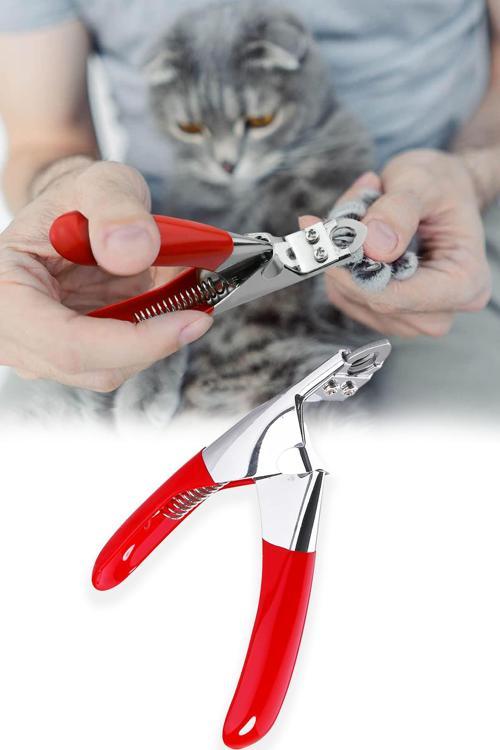 Kedi Köpek Tırnak Makası Kedi Köpek Pati Bakım Kuş Tavşan Tırnak Kesim Makası