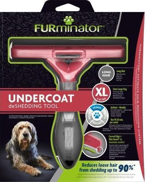 Longhair Gıant Dog