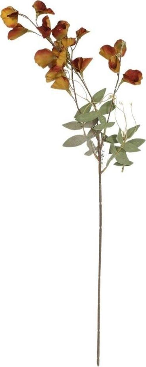 Vitale Bezelye Çiçeği Yellow Brown Bezay Çiçek 25* AK.JZ0010