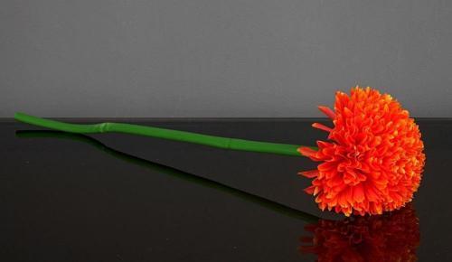 UZUN SAPLI YAPAY KADİFE ÇİÇEĞİ KIRMIZI AK.BG0120-K