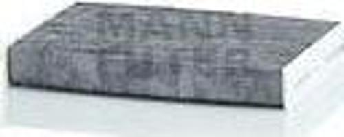 Karbonlu Polen Fıltresı Dacıa Dokker-Lodgy 1.2-1.5Dci-1.6Mpi 12-->