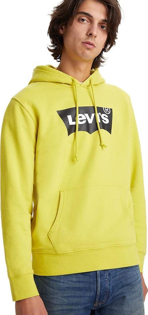 Standard Graphic Hoodie Hoodie Erkek