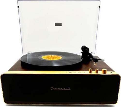 Pikap Vegas Plus Gold Led Panel Ahşap Plakçalar CW016