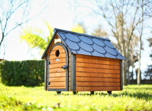 Ahşap Köpek Kulübesi