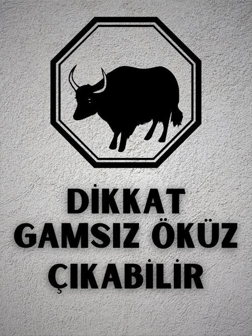 "Dikkat Gamsız Öküz Çıkabilir" Esprili Dekoratif Ahşap Tablo