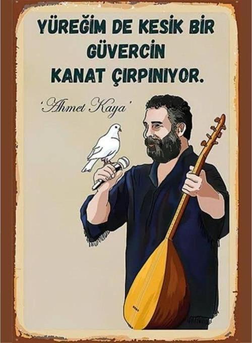 Ahmet Kaya Ahşap Retro Vintage Poster