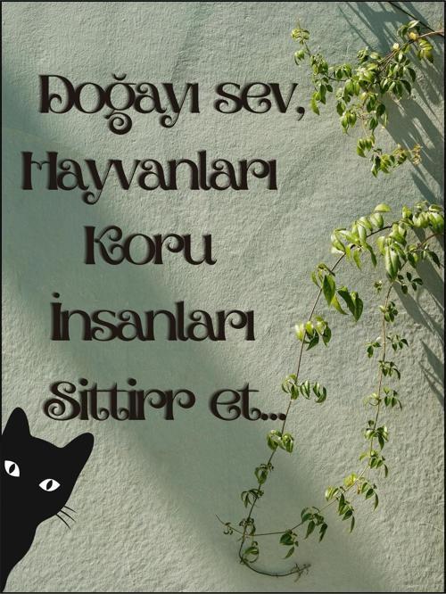 Doğa ve Hayvanseverler İçin Esprili Ahşap Dekoratif Tablo