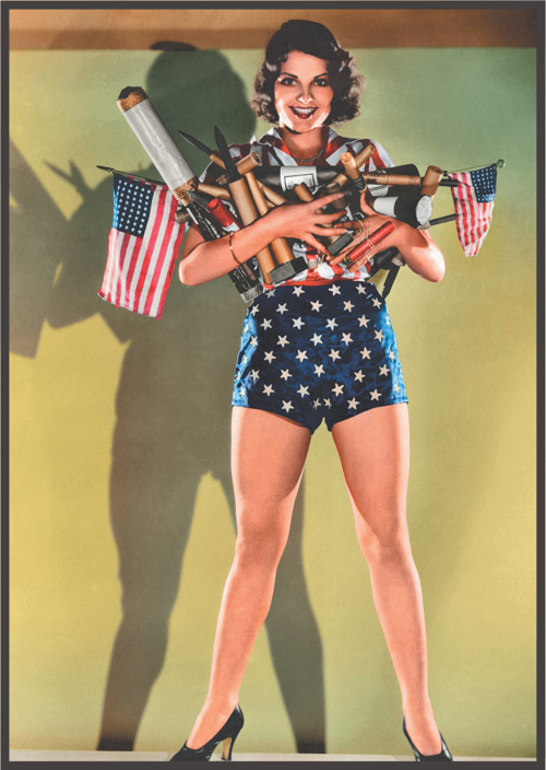 Retro Amerikan Temalı Kadın Figürlü Ahşap Tablo – Bağımsızlık Stili