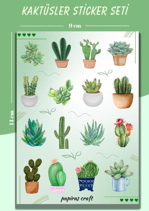 Kaktüs Sticker Çıkartma