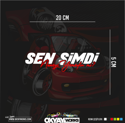 Sen Şimdi Naneyi Yemedin Mi Sticker - Siyah