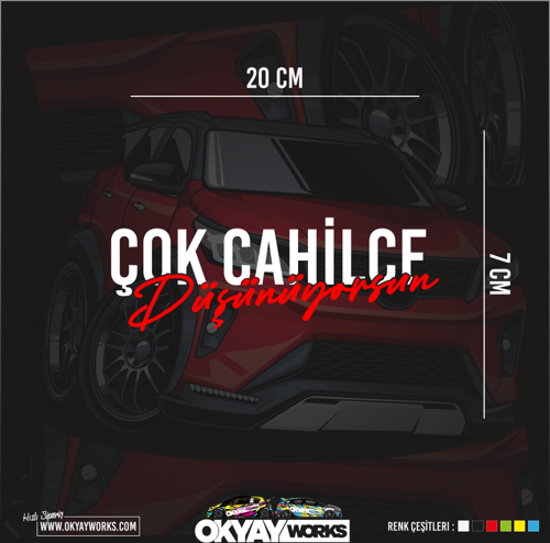 Çok Cahilce Düşünüyorsun Sticker - Kırmızı