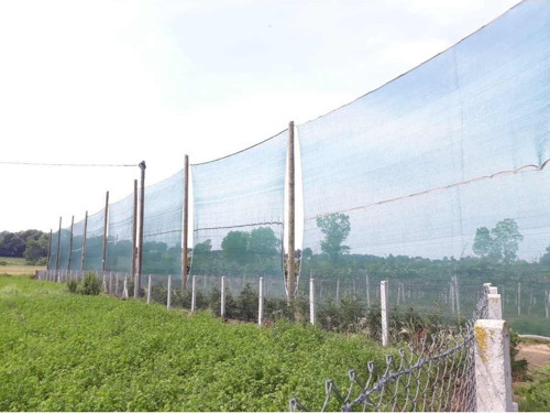 Yüzde 55'Lik Yeşil Gölgelik File - 5X50 Metre - Branda - Çit Filesi
