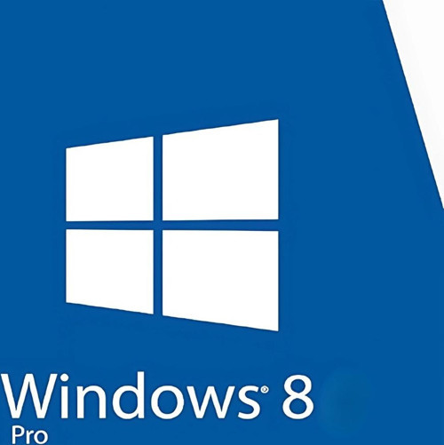 Windows 8 Pro Dijital Lisans