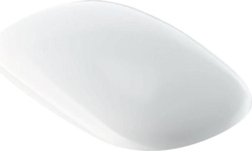  Geberit Citterio Klozet Kapağı, Yavaş Kapanır 500.540.01.1