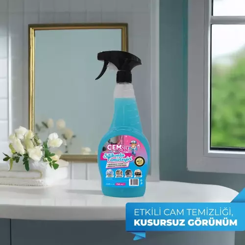 CAR CARE Sil Silikonlu Cam ve Yüzey Temizleyici 750 Ml