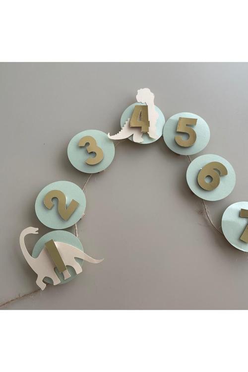 Dinazor Konsept 12 Ay Bannerı, 12 Aylık Fotoğraf Kartları