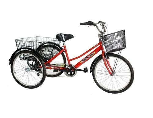 24 Jant 6 Vites 3 Tekerlekli Kargo Bisikleti