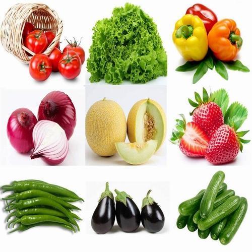 260 ADET TOHUM SETİ 5 FARKLI SEBZE TOHUMU + 10 ADET HEDİYE GÜL ÇİÇEK TOHUMU