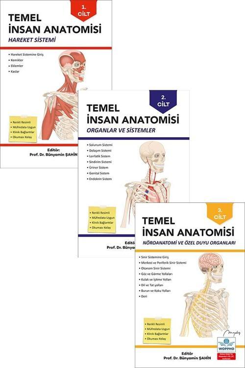 Temel Anatomi Seti 3LÜ