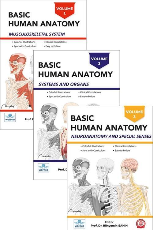 Basic Human Anatomy SET 3LÜ